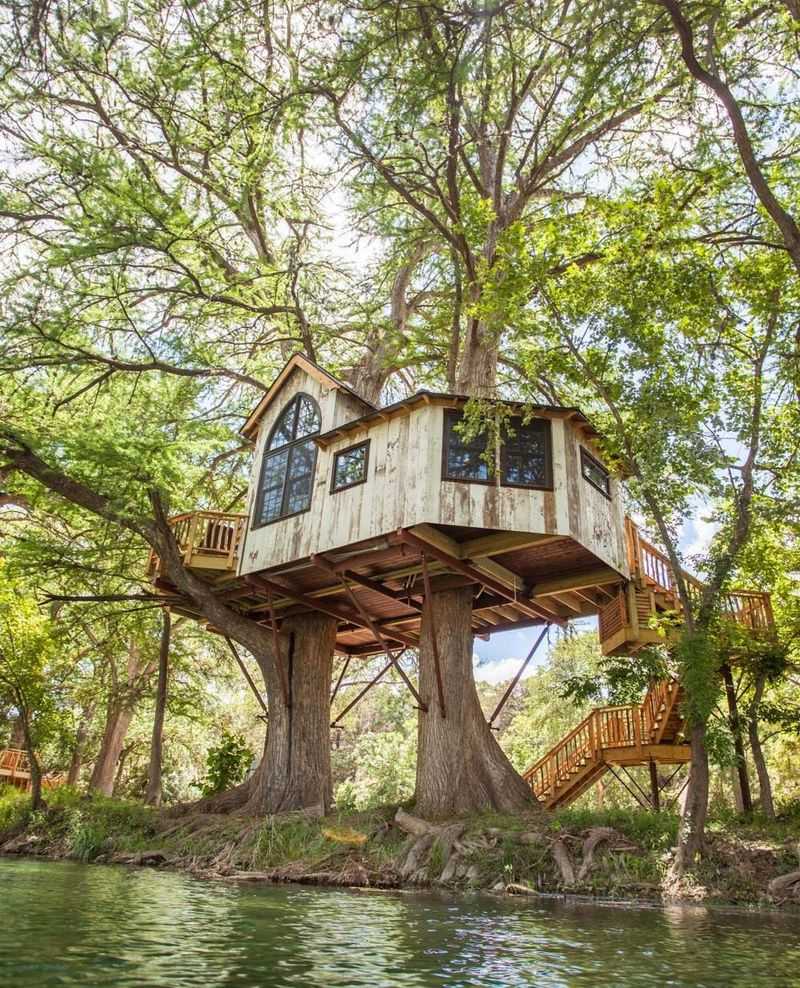 Whimsical Treehouse Escape