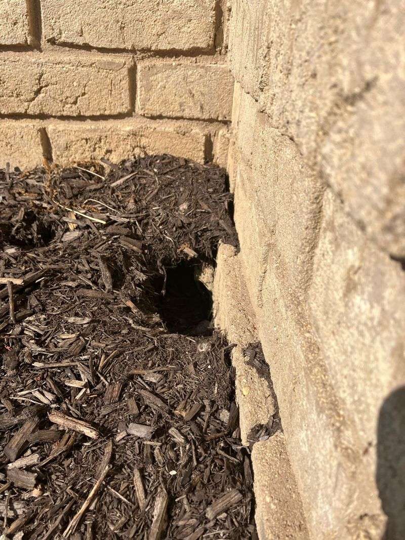 9 Items To Avoid On Your Oklahoma Porch And 4 That Add Value - Decor Hint Food Items Attract Unwanted Wildlife