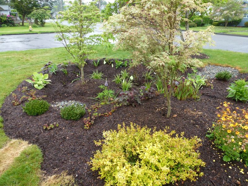 Rain Gardens That Double As Art