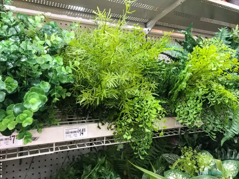 10 Common Home Staging Mistakes That Waste Your Time And Don't Improve Rooms - Decor Hint Using Fake Plants That Collect Dust