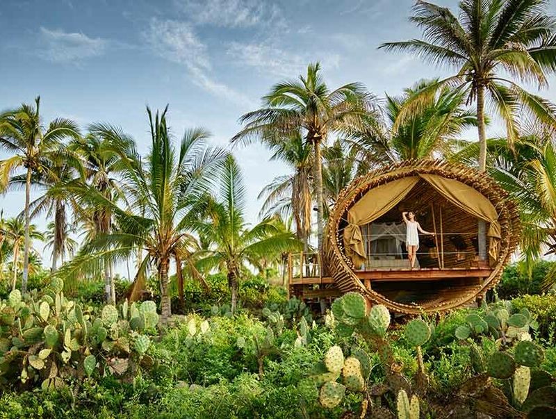 14 Luxury Treetop Homes For Living The High Life - Decor Hint Playa Viva Treehouse, Mexico
