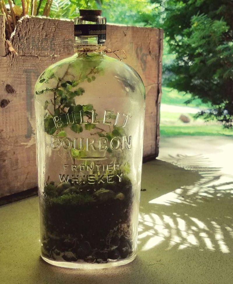 Bluegrass-Inspired Mini Garden Havens