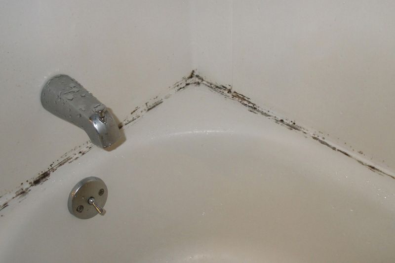 Bathroom Grossness