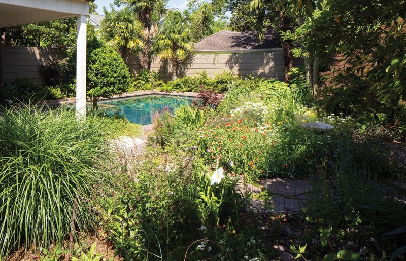 7 Backyard Mistakes To Fix In New Orleans (And 7 Ideas To Improve Value) - Decor Hint Ignoring Local Plant Species