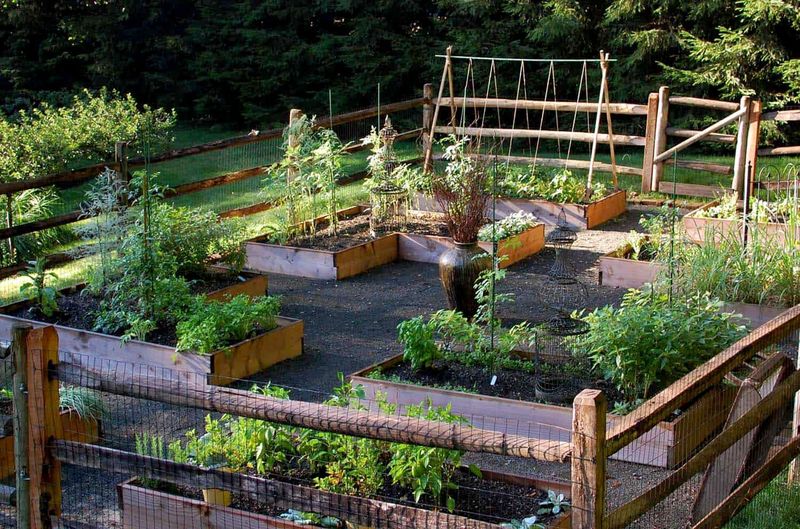 Kitchen Gardens and Growing Spaces