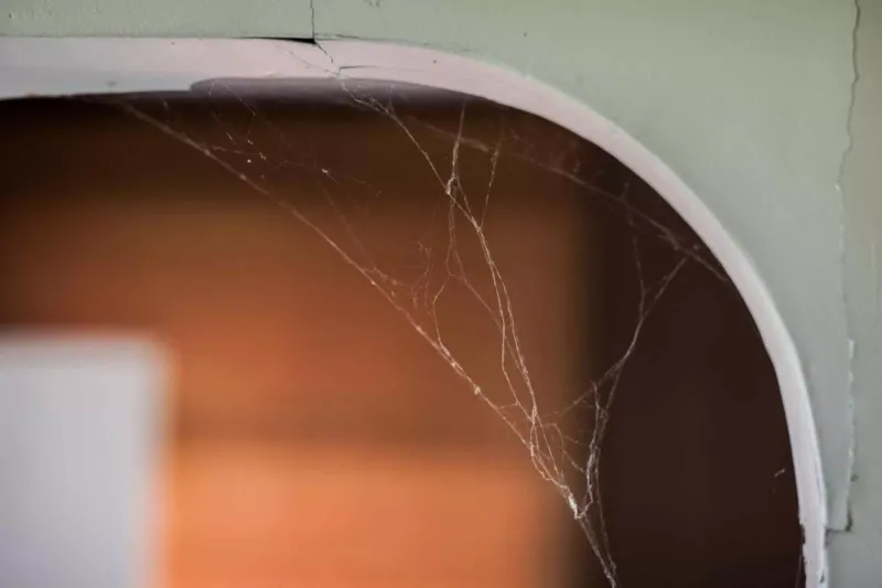 10 Sneaky Details That Make Your Home Feel Messy And 8 That Should Never Be There - Decor Hint Forgotten Corner Cobwebs