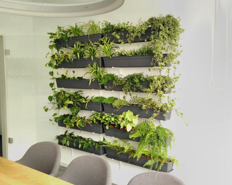 Living Walls