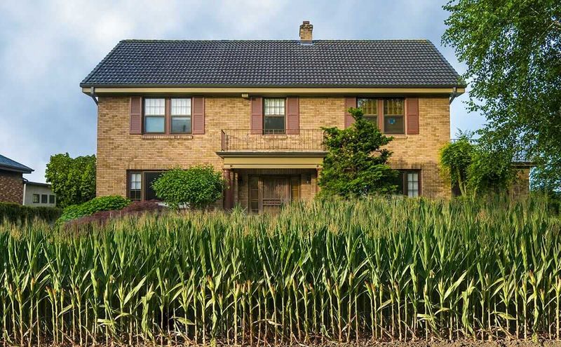 25 Home Features That Are Surprisingly Illegal In Some States - Decor Hint Front Yard Vegetable Gardens
