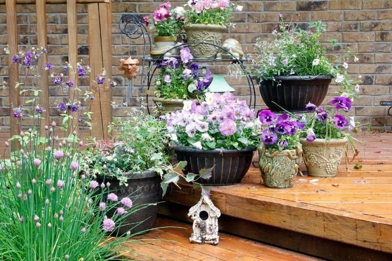 15 Backyard Micro-Oasis Ideas For Small Outdoor Spaces - Decor Hint Container Planting Arrangements