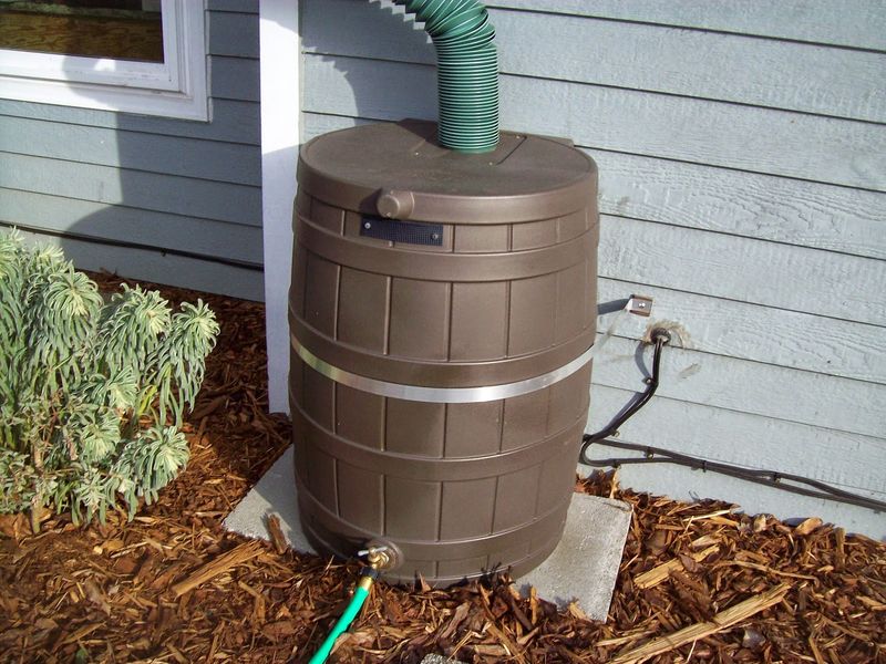 13 Suburban Home Features That Are Becoming Legal Headaches - Decor Hint Rainwater harvesting barrels near property lines