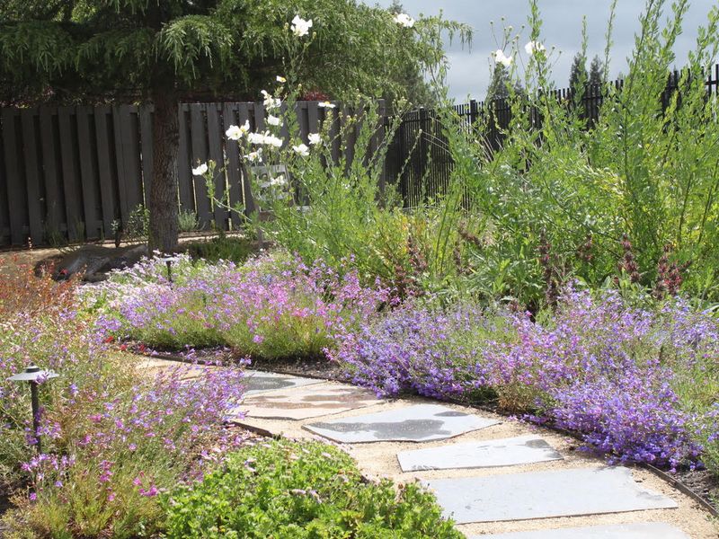 11 Backyard Features Devaluing Your Home And 11 That Will Add Value - Decor Hint Low-Maintenance Native Plantings