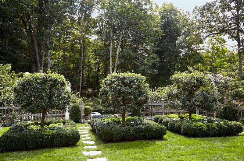 Boxwood Borders With Attitude