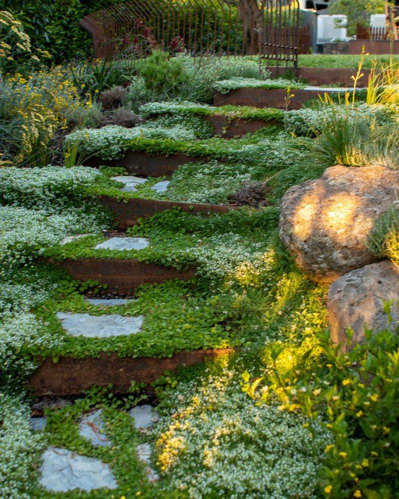 20 Front Yard Ideas That Look Professionally Landscaped - Decor Hint Groundcover Plants for Gaps