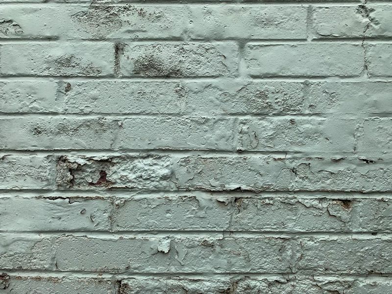 10 Trends That Don't Actually Look Good In Real Life, According To Interior Designers Plus 7 Extra Ones To Always Skip - Decor Hint Painted Brick Exteriors