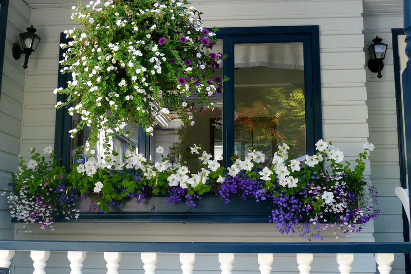 9 Curb Appeal Trends Born On New York's Oldest Streets - Decor Hint Seasonal Window Boxes