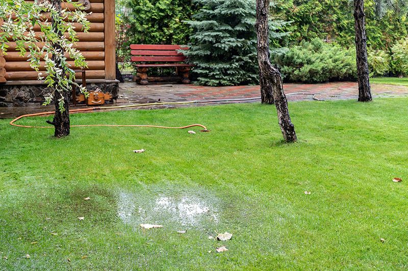 11 Backyard Features Devaluing Your Home And 11 That Will Add Value - Decor Hint Uncontrolled Drainage Issues