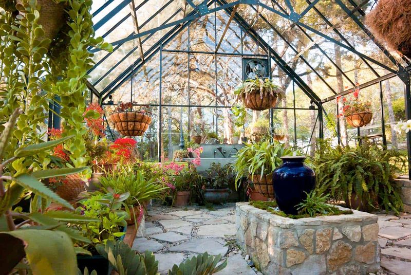 25 Amenities You Can Find In Billionaires' Homes - Decor Hint Conservatories With Rare Butterflies