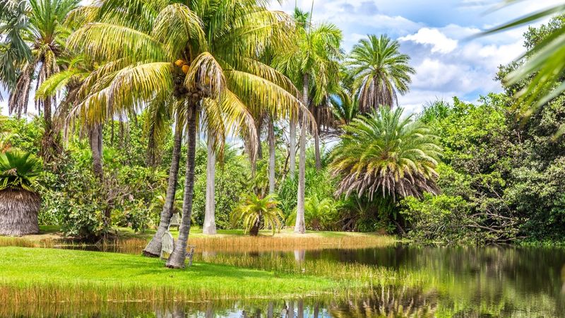 Lush Tropical Gardens