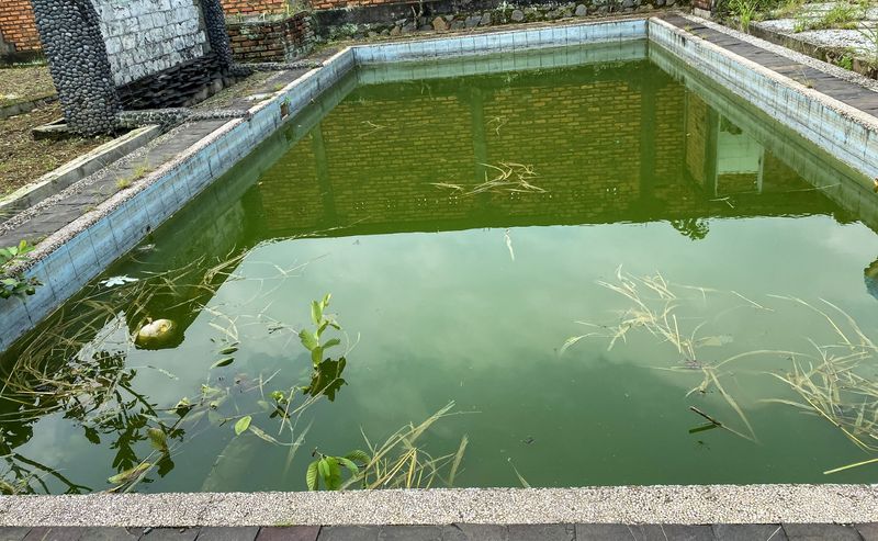 21 Landscaping Features That Are Really Annoying Your Neighbors, Real Estate Pros Say - Decor Hint Poorly Maintained Pools