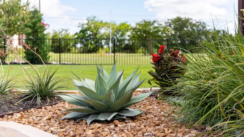 How Indiana Homes Are Using Desert-Inspired Designs In Unexpected Ways - Decor Hint Drought-Tolerant Landscape Islands Amid Traditional Lawns