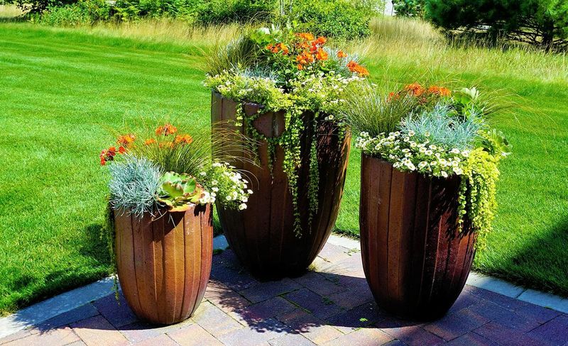 The Most Enchanting Outdoor Setups You'll See Around Oregon Streets - Decor Hint Potted Native Plants in Rustic Containers