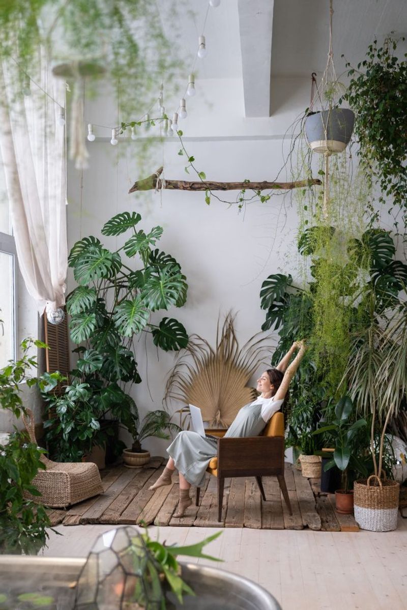 Indoor Plants