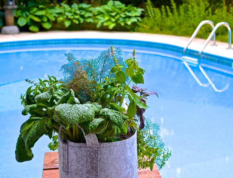 37 Stylish Poolside Designs That Make Everyday Feel Like Vacation - Decor Hint Poolside Cocktail Garden