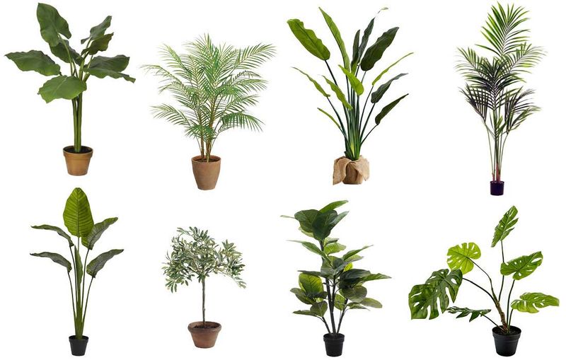 16 Home Accessories That Instantly Date Your Space - Decor Hint Silk Plants Gathering Dust