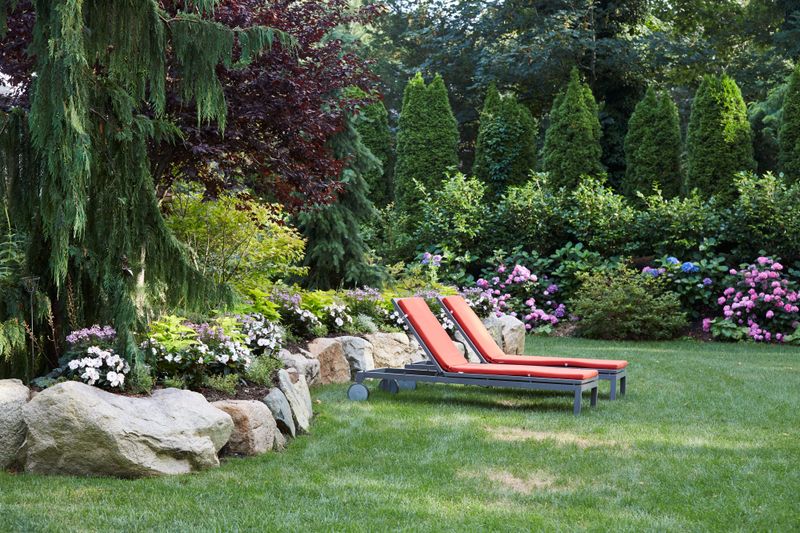 10 Outdoor Corners That Make Washington Homes Feel More Private - Decor Hint Layered Native Evergreen Borders