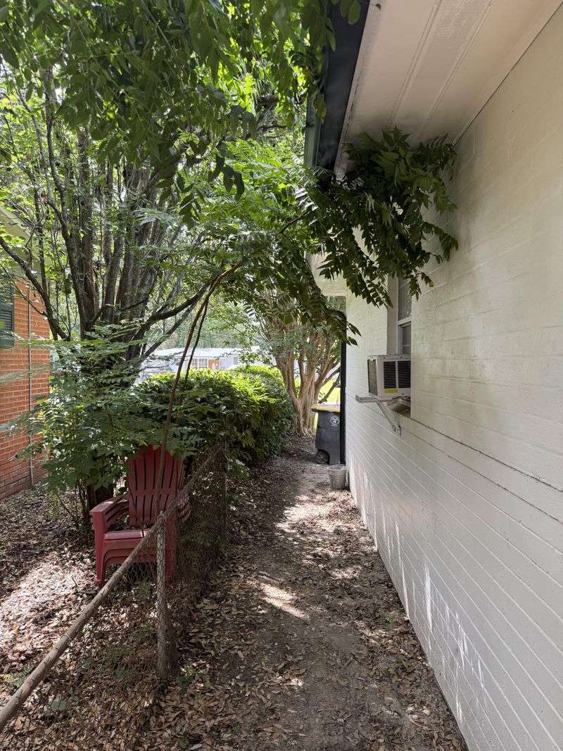 Overhanging Branches into Neighbor Yards