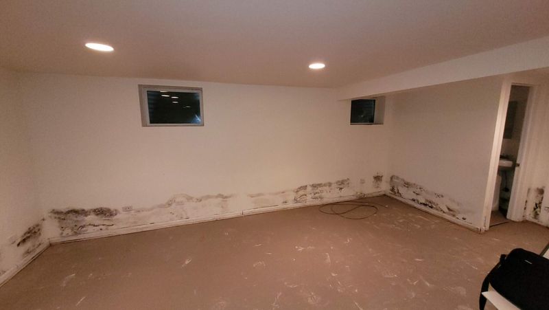 17 Popular Home Additions That Actually Make Buyers Walk Away - Decor Hint Converted Basements With Moisture Issues