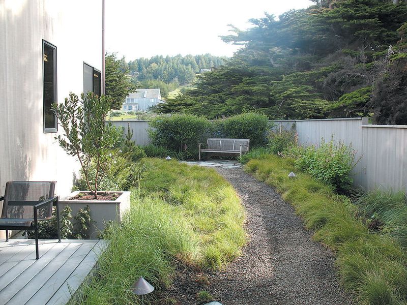 Native Coastal Landscaping