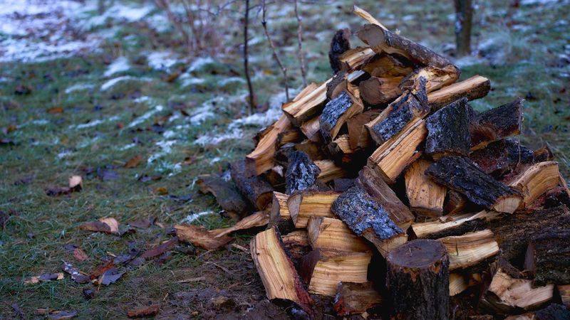 US Homeowners Beware 17 Backyard Items That Might Be Forbidden In The Near Future - Decor Hint Uncovered wood piles (fire hazard)