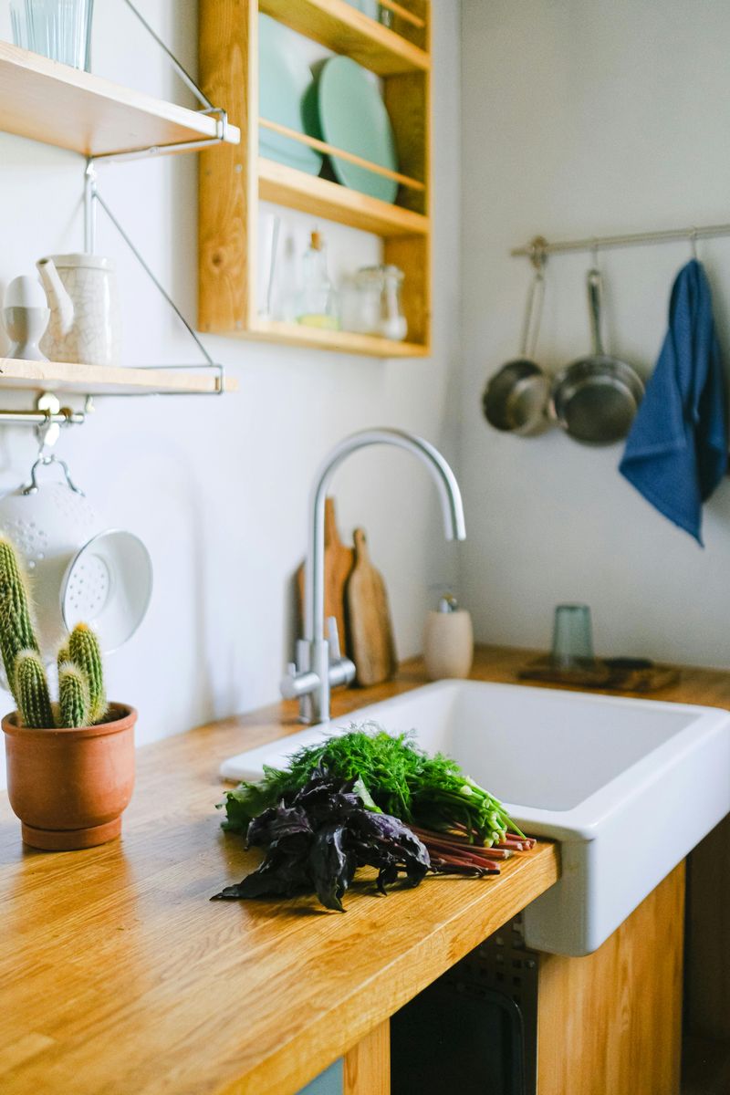 Farmhouse Sink