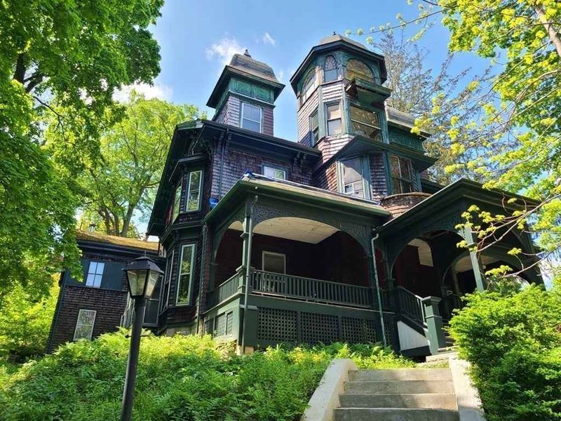 Victorian Beauties Becoming Endangered