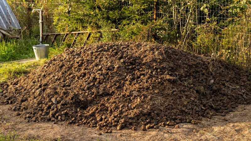 Strong-Smelling Fertilizers