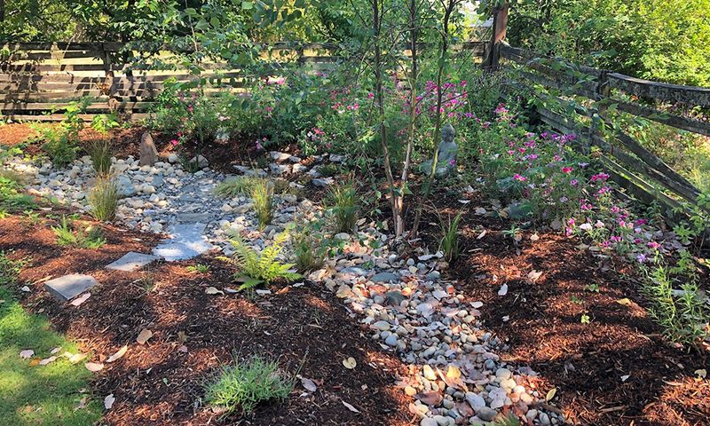 Seattle's Top 10 Exterior Design Ideas For Wet Climates - Decor Hint Rain Gardens That Capture Runoff