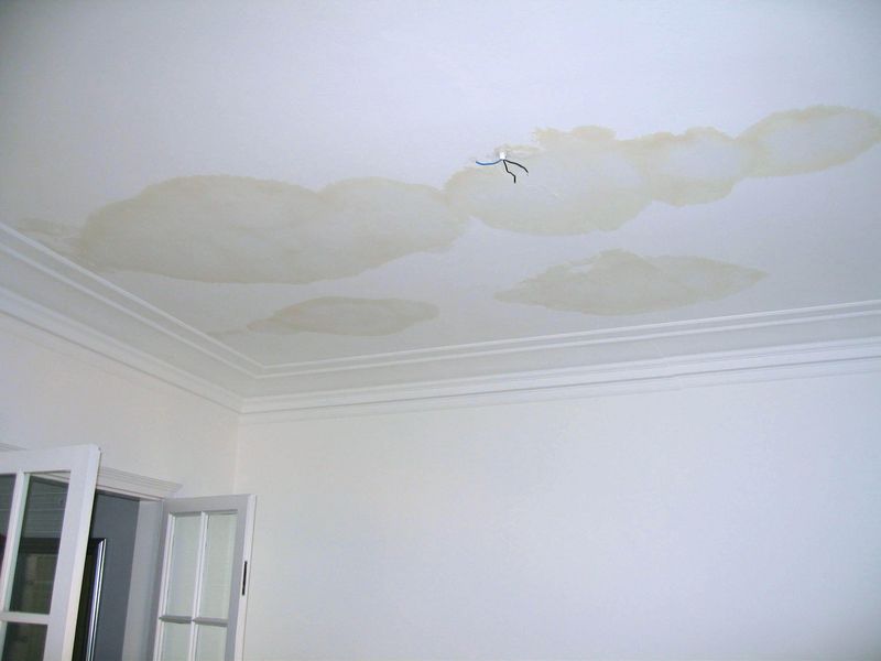 18 Red Flags Home Buyers Notice First About Your House (Plus 4 Deal Breakers) - Decor Hint Water Stains on Ceilings
