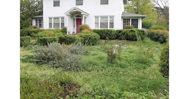 22 Things That Make Your Home Look Cheap - Decor Hint Neglected Front Yard