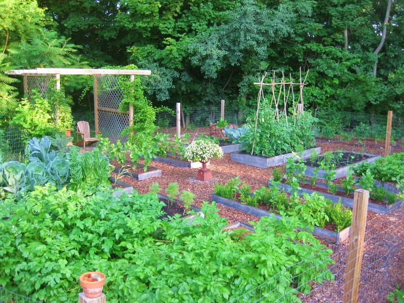 11 Picture-Perfect Outdoor Spaces Popping Up All Over Virginia Neighborhoods - Decor Hint Edible Garden Escapes