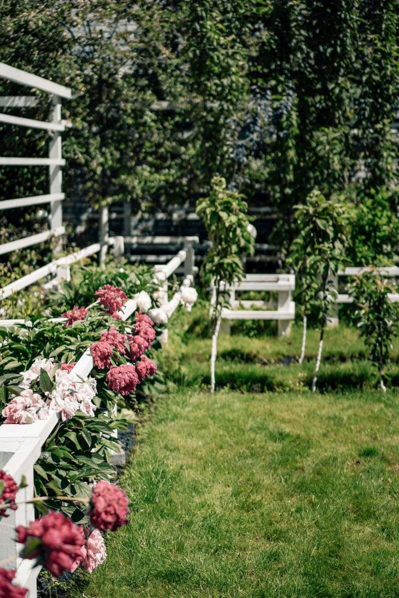 Planting A Colorful Flower Border