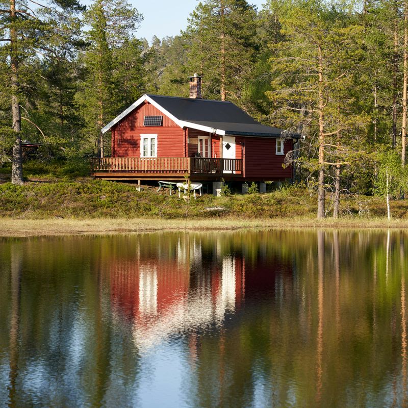 Cedar Red