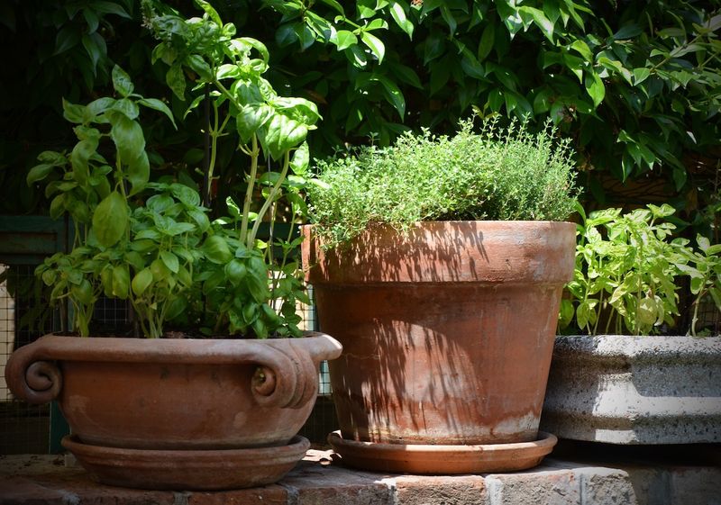 From Paint To Planter Boxes 13 Top Weekend DIY Projects In Cincinnati - Decor Hint Creating Herb Garden Planters