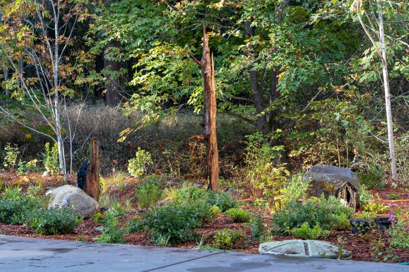 10 Outdoor Space Styles Showing Up In Washington Homes And 4 That Are Starting To Disappear - Decor Hint Rain Gardens That Work With Nature