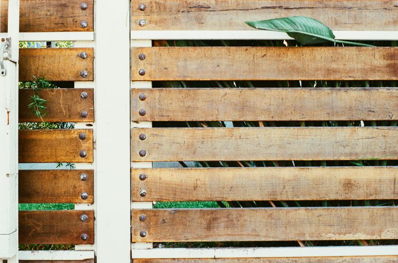 Privacy Fencing Panels