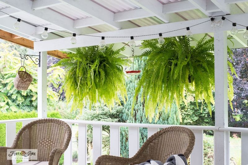 Porch Perfection: 9 Kentucky Looks That Define Southern Curb Appeal - Decor Hint Bluegrass Hanging Ferns
