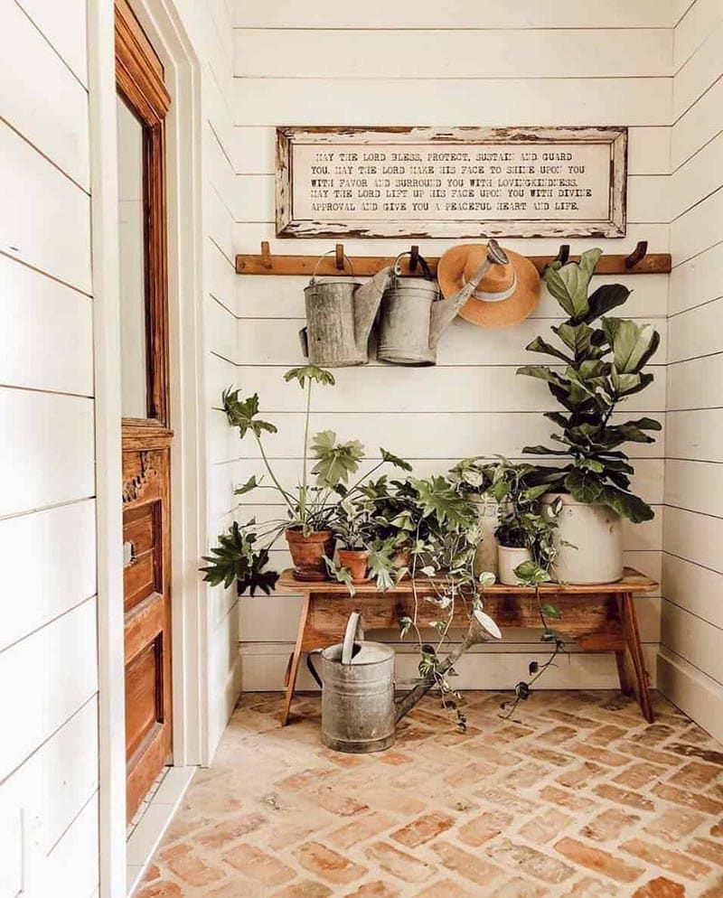 14 Entryway Ideas That Instantly Elevate Georgia Homes - Decor Hint Potted magnolia or fern