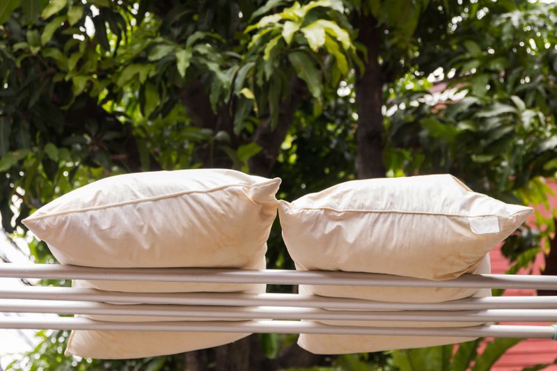 I Tried 6 Ways To Wash Pillows, And The Winner Was Transformative - Decor Hint Sunlight Sanitizing Method