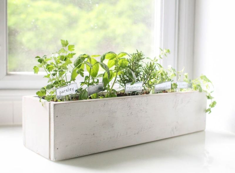 Create a Herb Garden Window