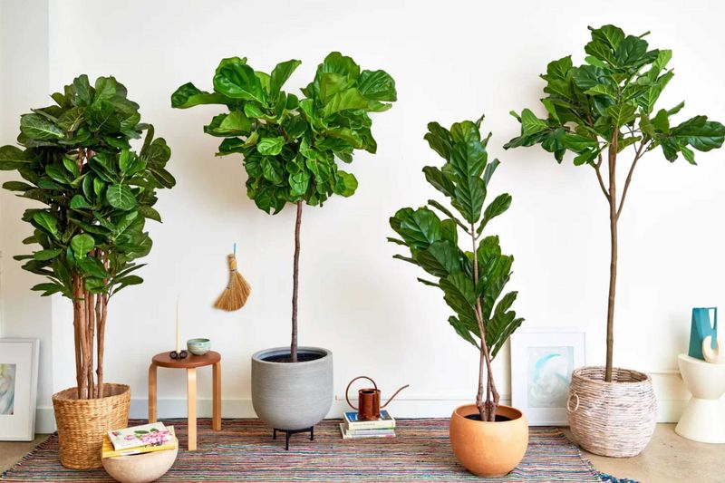 22 Home Offenses That Give Designers Instant Heartburn When They Walk Into Someone's Home - Decor Hint Fake Plants Covered In Dust
